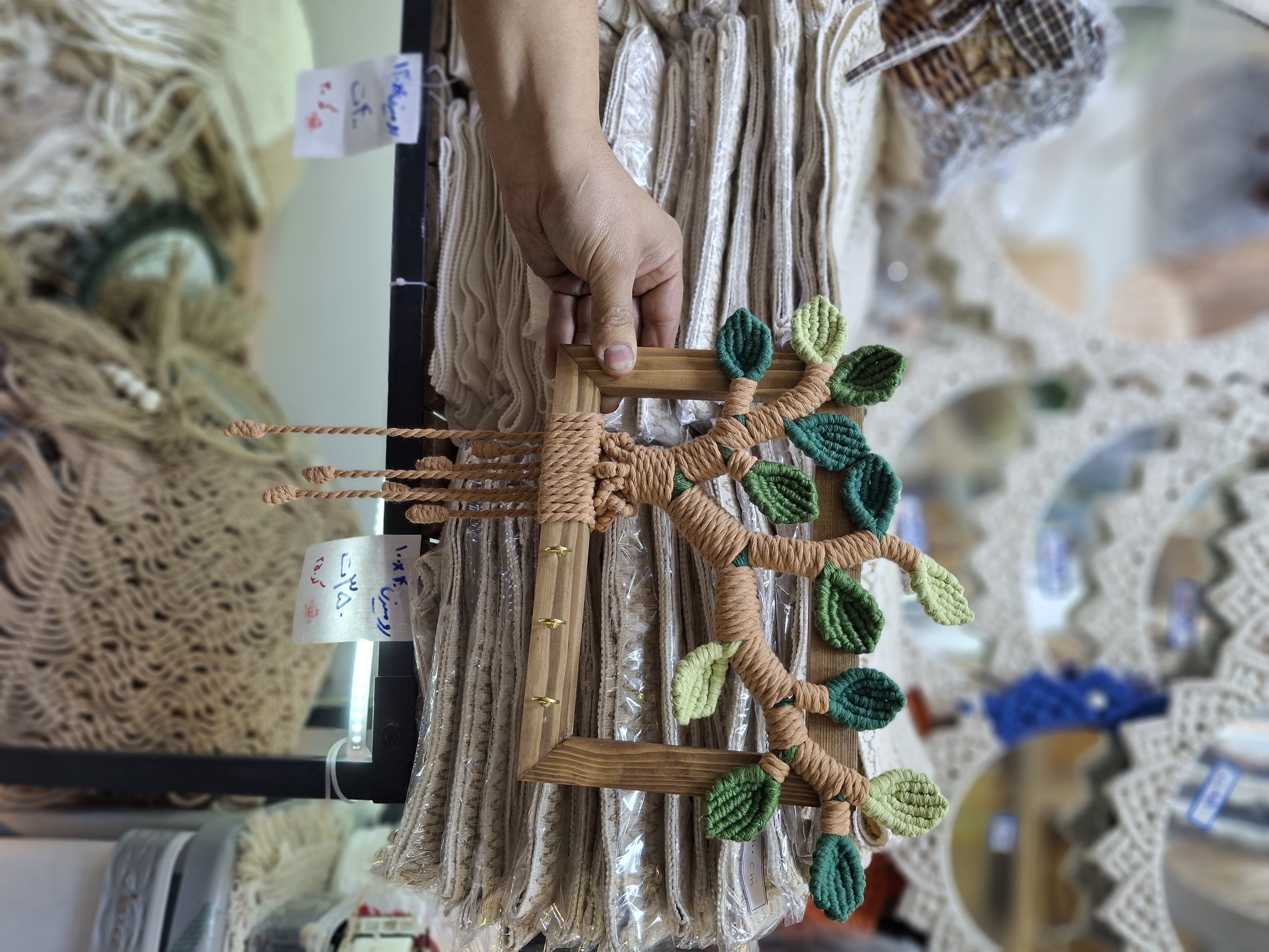 جا کلیدی درخت زندگی